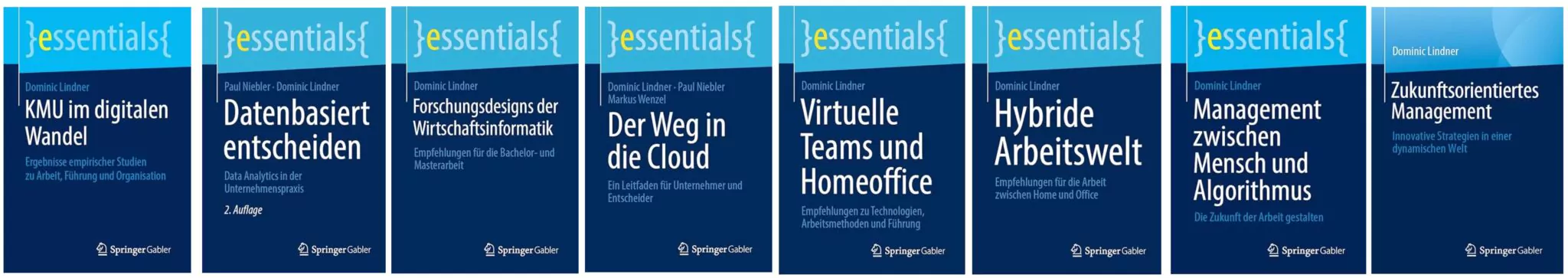 Die Fachbücher von Dr. Dominic Lindner im Überblick